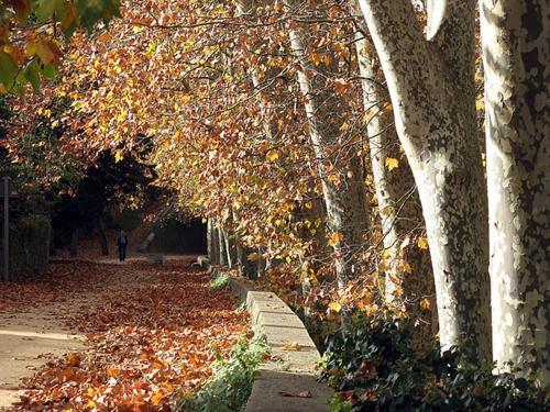 Hostal Sant Bernat Olot Exterior photo